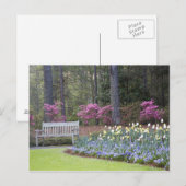 Carte Postale USA, Géorgie, Pine Mountain. Une bordure de (Devant / Derrière)