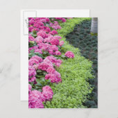 Carte Postale USA, Géorgie, Pine Mountain. Une frontière du prin (Devant / Derrière)