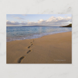 Carte Postale USA, Hawaii, Maui, Wailea, empreintes sur la plage