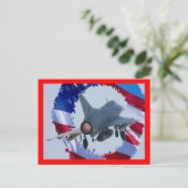 Carte Postale Usa Jet (Debout devant)