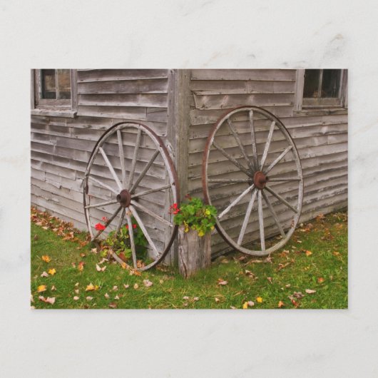 Carte Postale USA, Main. Wagon Wheels (Devant)