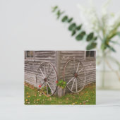 Carte Postale USA, Main. Wagon Wheels (Debout devant)