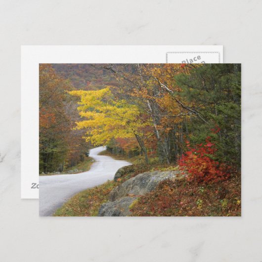 Carte Postale USA, Maine, Camden. Route à travers Camden (Devant / Derrière)