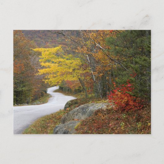 Carte Postale USA, Maine, Camden. Route à travers Camden (Devant)