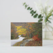 Carte Postale USA, Maine, Camden. Route à travers Camden (Debout devant)