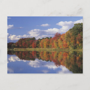 Carte Postale USA, Massachusetts, Acton. Reflection of autumn