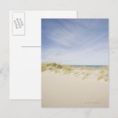 Carte Postale USA, Massachusetts, Cape Cod, Nantucket, sable (Devant / Derrière)