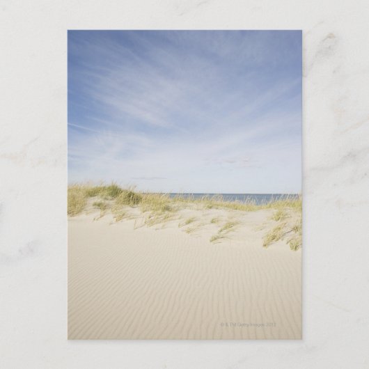 Carte Postale USA, Massachusetts, Cape Cod, Nantucket, sable (Devant)