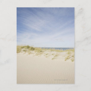 Carte Postale USA, Massachusetts, Cape Cod, Nantucket, sable