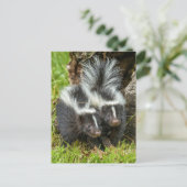 Carte Postale USA, Minnesota, Sandstone, Minnesota Wildlife (Debout devant)