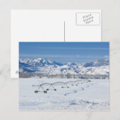 Carte Postale USA, MT, Ferme près de Livingston (Devant / Derrière)