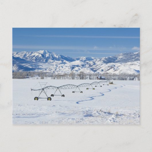 Carte Postale USA, MT, Ferme près de Livingston (Devant)