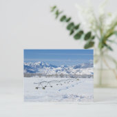 Carte Postale USA, MT, Ferme près de Livingston (Debout devant)