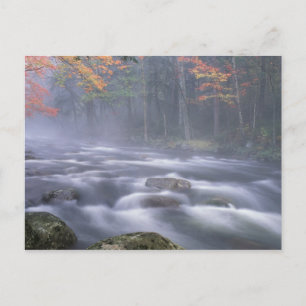 Carte Postale USA, New York, Adirondacks, Big Moose River