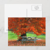 Carte Postale USA, New York, West Park. Banc Sous Érable (Devant / Derrière)