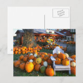 Carte Postale USA, Nouvelle Angleterre, Maine, Wells. Affichage  (Devant / Derrière)