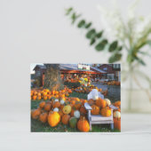 Carte Postale USA, Nouvelle Angleterre, Maine, Wells. Affichage  (Debout devant)