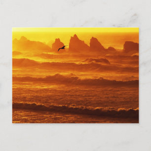 Carte Postale USA, Oregon, Bandon. Coucher de soleil sur les vag