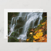 Carte Postale USA, Oregon, Fairy Falls, Columbia River Gorge (Devant / Derrière)