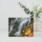 Carte Postale USA, Oregon, Fairy Falls, Columbia River Gorge (Debout devant)