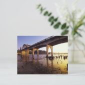 Carte Postale USA, Oregon, Florence. Siuslaw Bridge et (Debout devant)