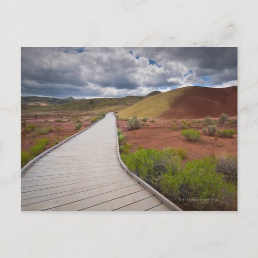 Carte Postale USA, Oregon, Mitchell, Pathway between Painted (Devant)