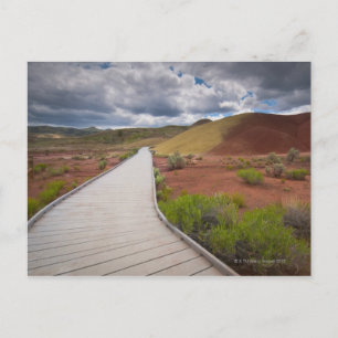 Carte Postale USA, Oregon, Mitchell, Pathway between Painted