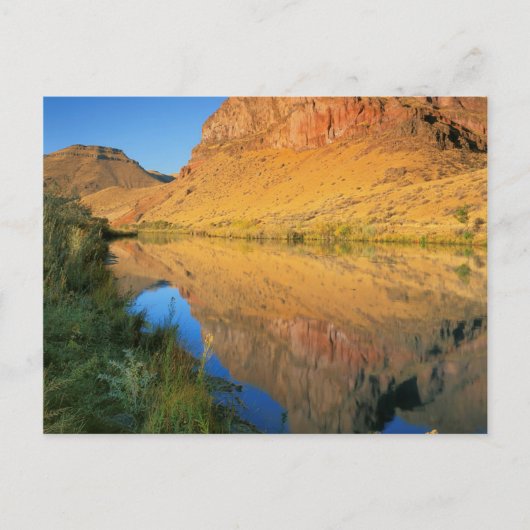 Carte Postale USA, Oregon, Owyhee River Canyon (Devant)