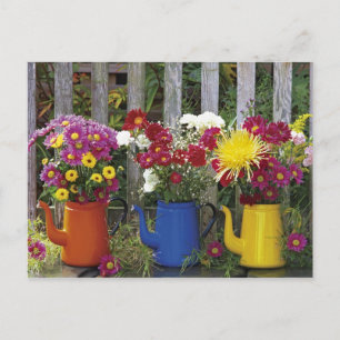 Carte Postale USA, Oregon, Portland. Émail antique