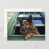 Carte Postale USA, Oregon, Portland. Griffez les cheveux longs (Devant / Derrière)