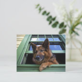 Carte Postale USA, Oregon, Portland. Griffez les cheveux longs (Debout devant)