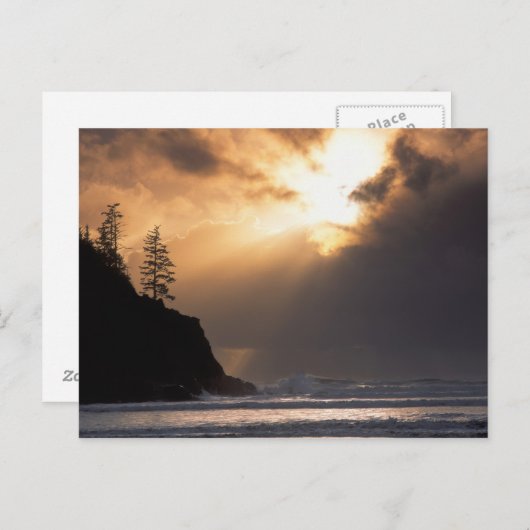 Carte Postale USA, Oregon, près du parc Oswald West State Park, (Devant / Derrière)