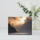 Carte Postale USA, Oregon, près du parc Oswald West State Park, (Debout devant)