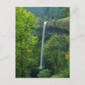 Carte Postale USA, Oregon, Silver Falls State Park (Devant)