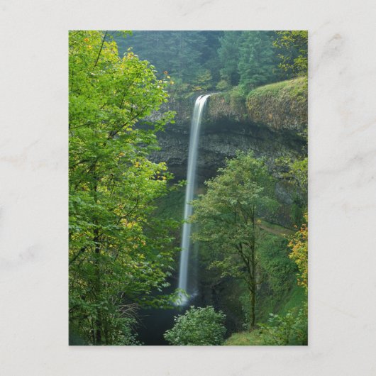 Carte Postale USA, Oregon, Silver Falls State Park (Devant)