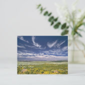 Carte Postale USA, Oregon, Steens Mountain. Chirurgie (Debout devant)