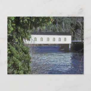 Carte Postale USA, Oregon. Un pick-up traversant le