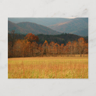 Carte Postale USA, Tennessee. Cades Cove Dans Smoky Mountain