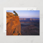 Carte Postale USA, Utah, Dead Horse Point SP. Feu de fin (Devant / Derrière)