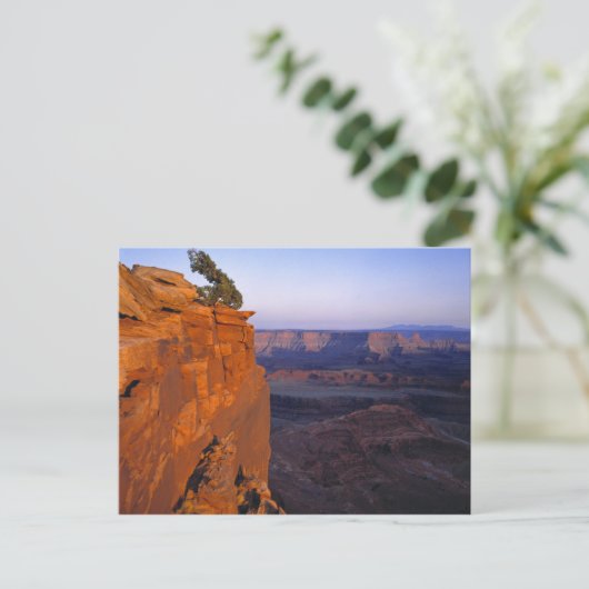 Carte Postale USA, Utah, Dead Horse Point SP. Feu de fin (Debout devant)