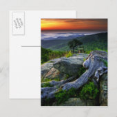 Carte Postale USA, Virginie, Shenandoah National Park. (Devant / Derrière)