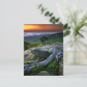 Carte Postale USA, Virginie, Shenandoah National Park. (Debout devant)