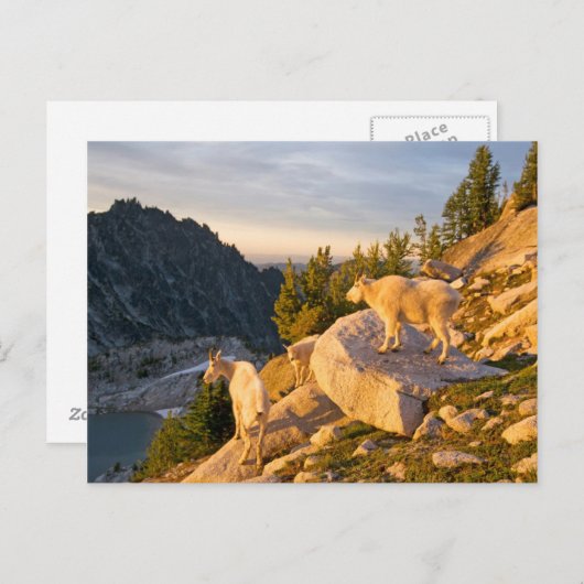 Carte Postale USA, Washington, Cascade Range 4 (Devant / Derrière)