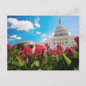 Carte Postale USA, Washington DC, Capitol Building (Devant)