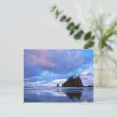 Carte Postale USA, Washington, Olympic National Park 2 (Debout devant)