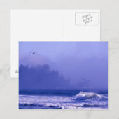 Carte Postale USA, Washington, Parc National Olympique. Brume (Devant / Derrière)