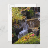 Carte Postale USA, Washington, Seattle (Devant / Derrière)