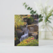 Carte Postale USA, Washington, Seattle (Debout devant)