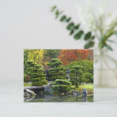 Carte Postale USA, Washington, Seattle, Arboretum, Japonais (Debout devant)
