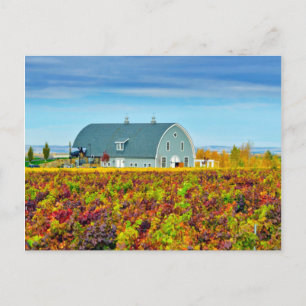 Carte Postale USA, Washington, Walla Walla. Crique Garrison